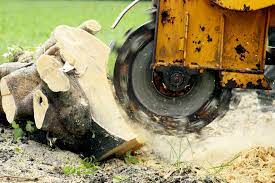 stump grinding and removal in dothan al