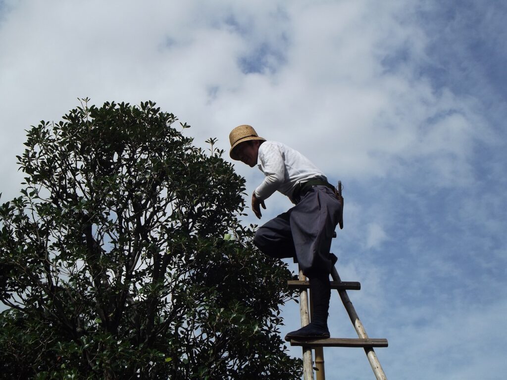 tree trimming & pruning dothan al